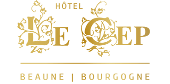 Logo Hôtel le Cep